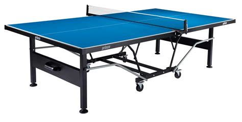 dicks table tennis